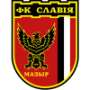 slika